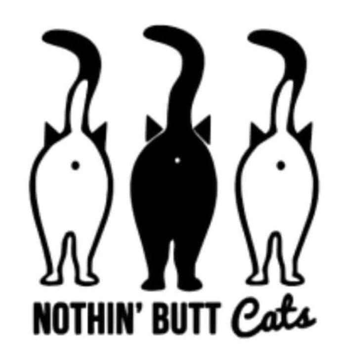 cat butt